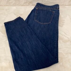 Gap Women’s Premium Super Skinny Jean Size 12